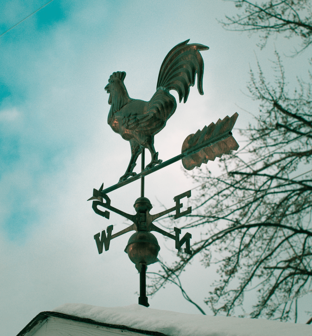 2016… What a&nbsp;Year!